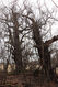 Dateiname=Soutok_1_4_2022_25.jpg
Dateigröße=566KB
Abmessungen: 683x1024
hinzugefügt am: 24. Dezember 2022 Soutok_1_4_2022_25.jpg