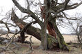 Dateiname=Soutok_1_4_2022_26.jpg
Dateigröße=526KB
Abmessungen: 1024x683
hinzugefügt am: 24. Dezember 2022 Soutok_1_4_2022_26.jpg