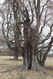 Dateiname=Soutok_1_4_2022_27.jpg
Dateigröße=571KB
Abmessungen: 683x1024
hinzugefügt am: 24. Dezember 2022 Soutok_1_4_2022_27.jpg