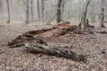Dateiname=Soutok_1_4_2022_30.jpg
Dateigröße=605KB
Abmessungen: 1024x683
hinzugefügt am: 24. Dezember 2022 Soutok_1_4_2022_30.jpg