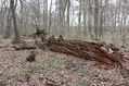 Název souboru=Soutok_1_4_2022_31.jpg
Velikost souboru=612KB
Rozměry=1024x683
Datum přidání=24.12.2022 Soutok_1_4_2022_31.jpg