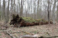 Název souboru=Soutok_1_4_2022_32.jpg
Velikost souboru=575KB
Rozměry=1024x683
Datum přidání=24.12.2022 Soutok_1_4_2022_32.jpg