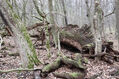 Název souboru=Soutok_1_4_2022_38.jpg
Velikost souboru=589KB
Rozměry=1024x683
Datum přidání=24.12.2022 Soutok_1_4_2022_38.jpg