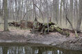 Název souboru=Soutok_1_4_2022_42.jpg
Velikost souboru=499KB
Rozměry=1024x683
Datum přidání=24.12.2022 Soutok_1_4_2022_42.jpg