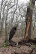 Název souboru=Soutok_1_4_2022_44.jpg
Velikost souboru=573KB
Rozměry=683x1024
Datum přidání=24.12.2022 Soutok_1_4_2022_44.jpg