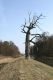 Název souboru=Soutok_24_3_2010_93.jpg
Velikost souboru=180KB
Rozměry=600x900
Datum přidání=12.04.2010 Soutok_24_3_2010_93.jpg