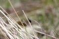 Spindl_16_6_2020_61.jpg