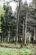 Název souboru=Stozec_29_4_2011_35.jpg
Velikost souboru=481KB
Rozměry=600x900
Datum přidání=30.01.2018 Stozec_29_4_2011_35.jpg