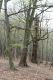 Dateiname=Stupava_31_3_2012_05.jpg
Dateigröße=495KB
Abmessungen: 600x900
hinzugefügt am: 06. März 2018 Stupava_31_3_2012_05.jpg