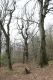 Stupava_31_3_2012_113.jpg