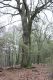 Dateiname=Stupava_31_3_2012_16.jpg
Dateigröße=539KB
Abmessungen: 600x900
hinzugefügt am: 06. März 2018 Stupava_31_3_2012_16.jpg