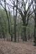 Dateiname=Stupava_31_3_2012_17.jpg
Dateigröße=559KB
Abmessungen: 600x900
hinzugefügt am: 06. März 2018 Stupava_31_3_2012_17.jpg