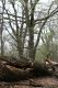 Dateiname=Stupava_31_3_2012_28.jpg
Dateigröße=524KB
Abmessungen: 600x900
hinzugefügt am: 06. März 2018 Stupava_31_3_2012_28.jpg