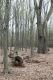 Dateiname=Stupava_31_3_2012_37.jpg
Dateigröße=619KB
Abmessungen: 600x900
hinzugefügt am: 06. März 2018 Stupava_31_3_2012_37.jpg