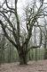 Dateiname=Stupava_31_3_2012_42.jpg
Dateigröße=526KB
Abmessungen: 600x900
hinzugefügt am: 06. März 2018 Stupava_31_3_2012_42.jpg