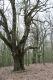 Dateiname=Stupava_31_3_2012_43.jpg
Dateigröße=523KB
Abmessungen: 600x900
hinzugefügt am: 06. März 2018 Stupava_31_3_2012_43.jpg