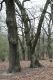 Dateiname=Stupava_31_3_2012_47.jpg
Dateigröße=503KB
Abmessungen: 600x900
hinzugefügt am: 06. März 2018 Stupava_31_3_2012_47.jpg