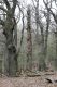 Dateiname=Stupava_31_3_2012_49.jpg
Dateigröße=491KB
Abmessungen: 600x900
hinzugefügt am: 06. März 2018 Stupava_31_3_2012_49.jpg