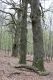 Dateiname=Stupava_31_3_2012_51.jpg
Dateigröße=527KB
Abmessungen: 600x900
hinzugefügt am: 06. März 2018 Stupava_31_3_2012_51.jpg