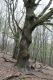 Dateiname=Stupava_31_3_2012_58.jpg
Dateigröße=520KB
Abmessungen: 600x900
hinzugefügt am: 06. März 2018 Stupava_31_3_2012_58.jpg