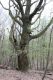 Dateiname=Stupava_31_3_2012_59.jpg
Dateigröße=517KB
Abmessungen: 600x900
hinzugefügt am: 06. März 2018 Stupava_31_3_2012_59.jpg