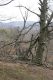 Dateiname=Stupava_31_3_2012_69.jpg
Dateigröße=521KB
Abmessungen: 600x900
hinzugefügt am: 06. März 2018 Stupava_31_3_2012_69.jpg