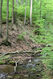 Název souboru=Stuzica_10_5_2014_16.jpg
Velikost souboru=726KB
Rozměry=683x1024
Datum přidání=23.02.2023 Stuzica_10_5_2014_16.jpg