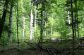 Název souboru=Stuzica_10_5_2014_18.jpg
Velikost souboru=741KB
Rozměry=1024x683
Datum přidání=23.02.2023 Stuzica_10_5_2014_18.jpg