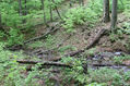 Název souboru=Stuzica_10_5_2014_47.jpg
Velikost souboru=796KB
Rozměry=1024x683
Datum přidání=23.02.2023 Stuzica_10_5_2014_47.jpg