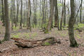 Název souboru=Stuzica_10_5_2014_62.jpg
Velikost souboru=716KB
Rozměry=1024x683
Datum přidání=23.02.2023 Stuzica_10_5_2014_62.jpg