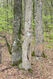 Název souboru=Stuzica_10_5_2014_63.jpg
Velikost souboru=722KB
Rozměry=683x1024
Datum přidání=23.02.2023 Stuzica_10_5_2014_63.jpg