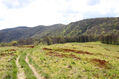 Název souboru=Stuzica_10_5_2014_98.jpg
Velikost souboru=508KB
Rozměry=1024x683
Datum přidání=23.02.2023 Stuzica_10_5_2014_98.jpg