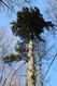 Název souboru=Tesak_30_10_2022_14.jpg
Velikost souboru=682KB
Rozměry=683x1024
Datum přidání=16.12.2022 Tesak_30_10_2022_14.jpg