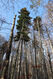 Název souboru=Tesak_30_10_2022_15.jpg
Velikost souboru=650KB
Rozměry=683x1024
Datum přidání=16.12.2022 Tesak_30_10_2022_15.jpg