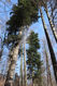 Název souboru=Tesak_30_10_2022_16.jpg
Velikost souboru=645KB
Rozměry=683x1024
Datum přidání=16.12.2022 Tesak_30_10_2022_16.jpg