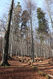 Název souboru=Tesak_30_10_2022_18.jpg
Velikost souboru=645KB
Rozměry=683x1024
Datum přidání=16.12.2022 Tesak_30_10_2022_18.jpg