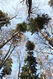 Název souboru=Tesak_30_10_2022_22.jpg
Velikost souboru=684KB
Rozměry=683x1024
Datum přidání=16.12.2022 Tesak_30_10_2022_22.jpg