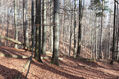 Název souboru=Tesak_30_10_2022_26.jpg
Velikost souboru=636KB
Rozměry=1024x683
Datum přidání=16.12.2022 Tesak_30_10_2022_26.jpg