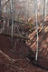 Název souboru=Tesak_30_10_2022_27.jpg
Velikost souboru=580KB
Rozměry=683x1024
Datum přidání=16.12.2022 Tesak_30_10_2022_27.jpg