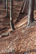 Název souboru=Tesak_30_10_2022_38.jpg
Velikost souboru=650KB
Rozměry=683x1024
Datum přidání=16.12.2022 Tesak_30_10_2022_38.jpg