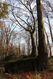 Název souboru=Tesak_30_10_2022_61.jpg
Velikost souboru=581KB
Rozměry=683x1024
Datum přidání=16.12.2022 Tesak_30_10_2022_61.jpg