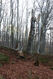 Název souboru=Tesak_30_10_2022_63.jpg
Velikost souboru=554KB
Rozměry=683x1024
Datum přidání=16.12.2022 Tesak_30_10_2022_63.jpg