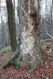 Název souboru=Tesak_30_10_2022_66.jpg
Velikost souboru=540KB
Rozměry=683x1024
Datum přidání=16.12.2022 Tesak_30_10_2022_66.jpg
