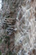 Název souboru=Tesak_30_10_2022_67.jpg
Velikost souboru=465KB
Rozměry=683x1024
Datum přidání=16.12.2022 Tesak_30_10_2022_67.jpg