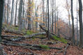 Název souboru=Tesak_30_10_2022_72.jpg
Velikost souboru=577KB
Rozměry=1024x683
Datum přidání=16.12.2022 Tesak_30_10_2022_72.jpg