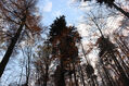 Název souboru=Tesak_30_10_2022_76.jpg
Velikost souboru=659KB
Rozměry=1024x683
Datum přidání=16.12.2022 Tesak_30_10_2022_76.jpg