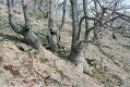 Název souboru=Tocna_14_4_2005_03.jpg
Velikost souboru=531KB
Rozměry=1024x683
Datum přidání=15.02.2017 Tocna_14_4_2005_03.jpg