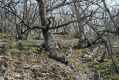 Název souboru=Tocna_14_4_2005_07.jpg
Velikost souboru=556KB
Rozměry=1024x683
Datum přidání=15.02.2017 Tocna_14_4_2005_07.jpg