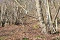 Usti_27_3_2016_01.jpg