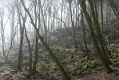 Název souboru=Usti_27_3_2016_06.jpg
Velikost souboru=588KB
Rozměry=1024x683
Datum přidání=30.03.2016 Usti_27_3_2016_06.jpg